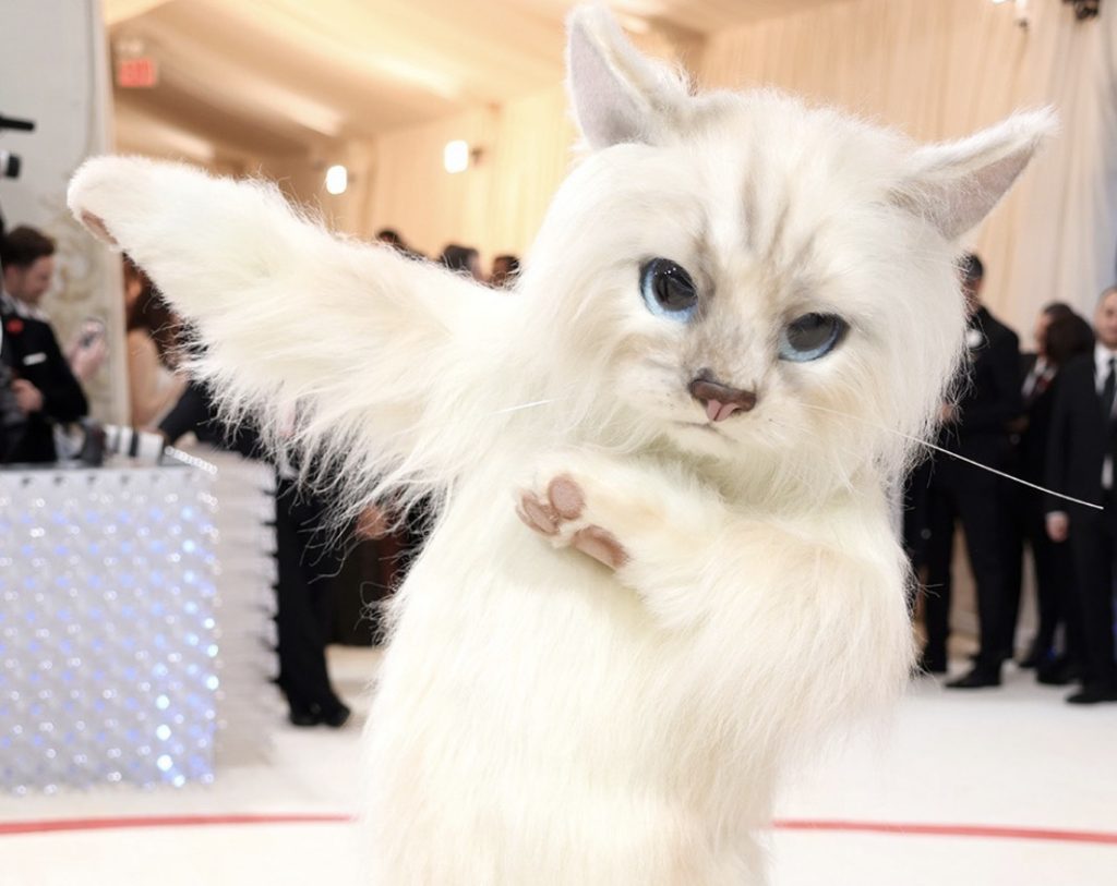 The Met Gala honours Karl Lagerfeld and his legacy. The theme encompasses Karl Lagerfeld: A line of beauty, celebrating his creativity, passion and flair. This Jared Leto wearing a white cat suit at the Met Gala.